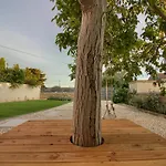 Wonderful Antonici With Private Pool Near Pula - Wiibuk * Ližnjan